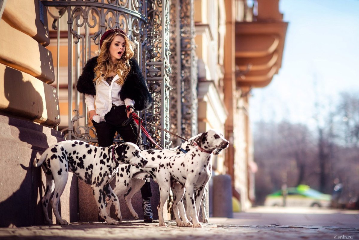 Ивлеева с далматинцами