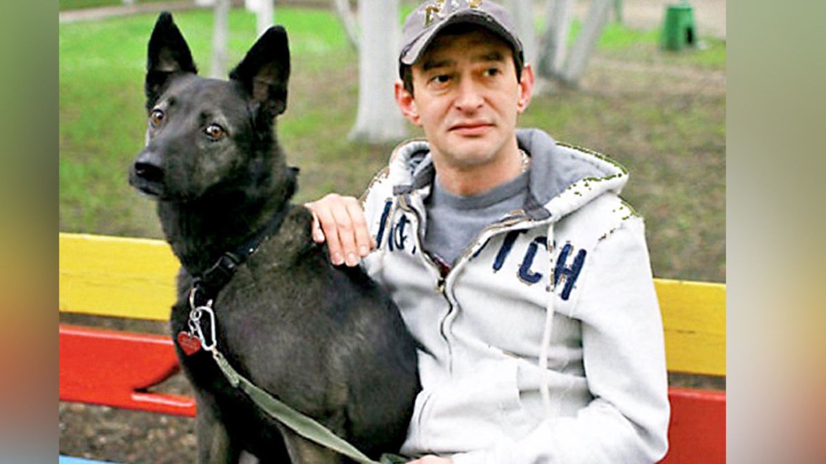 Смешные собаки на аву