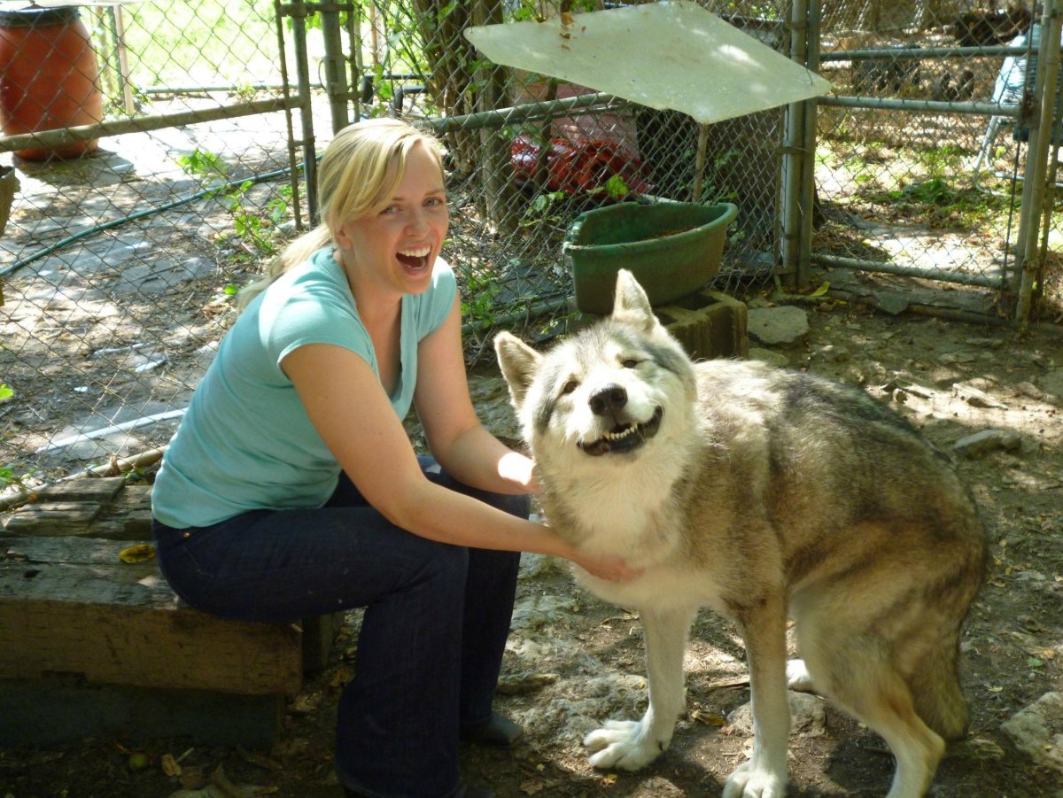 Константин Хабенский с собакой