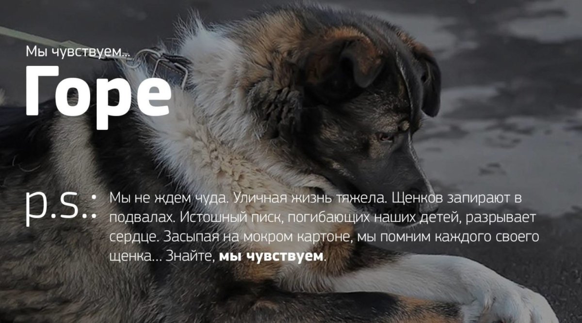 Девушка с щенком