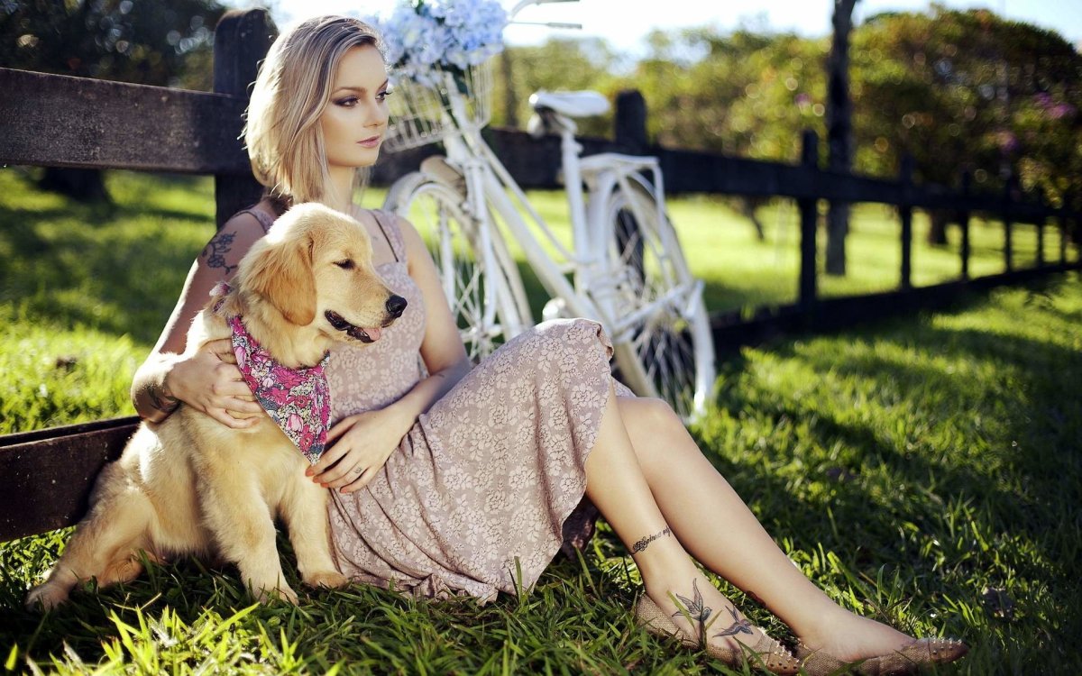 Посты про собак