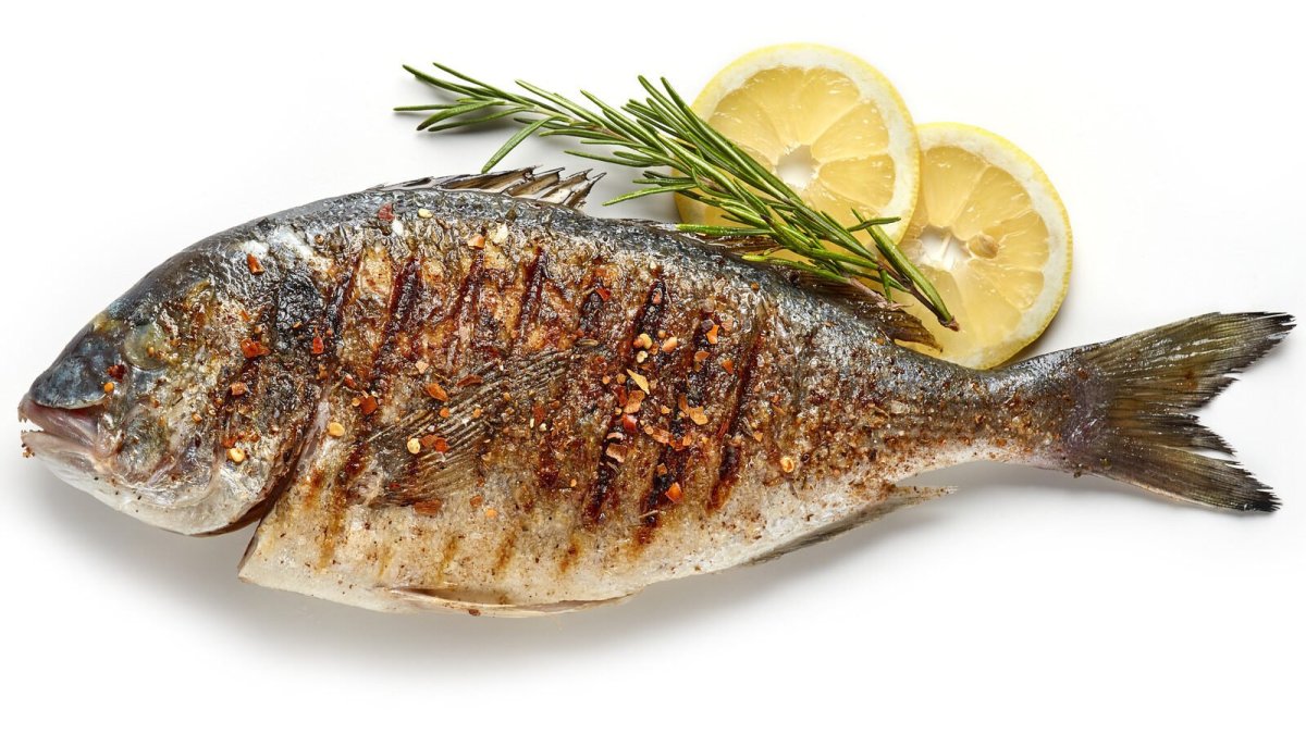 Жёлтоголовый большерот рыба