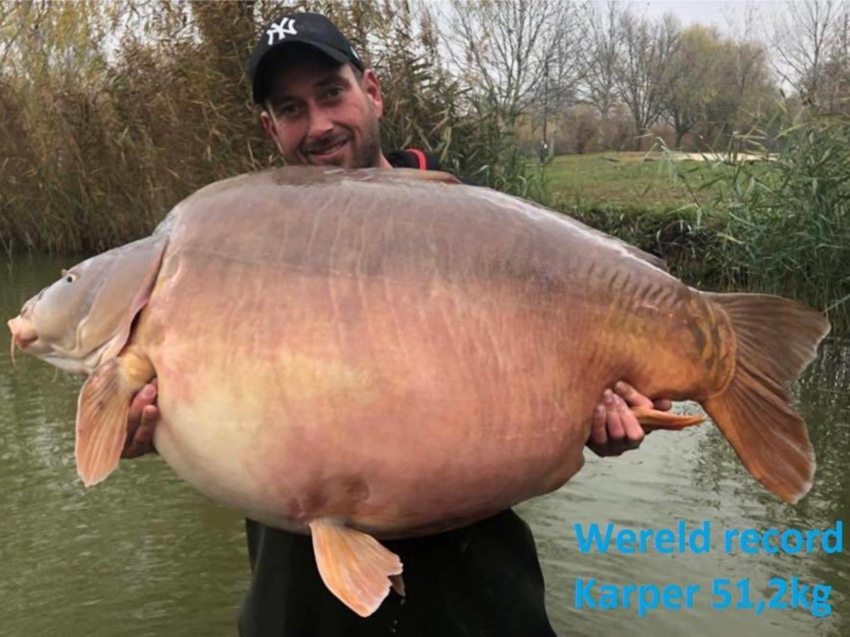 Мировой рекорд Карп 135кг