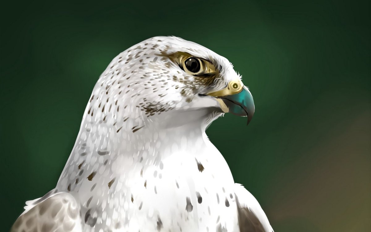 Птица в полете