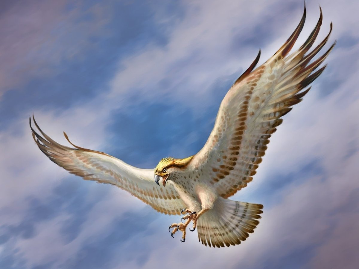 Небесный Сокол Геншин