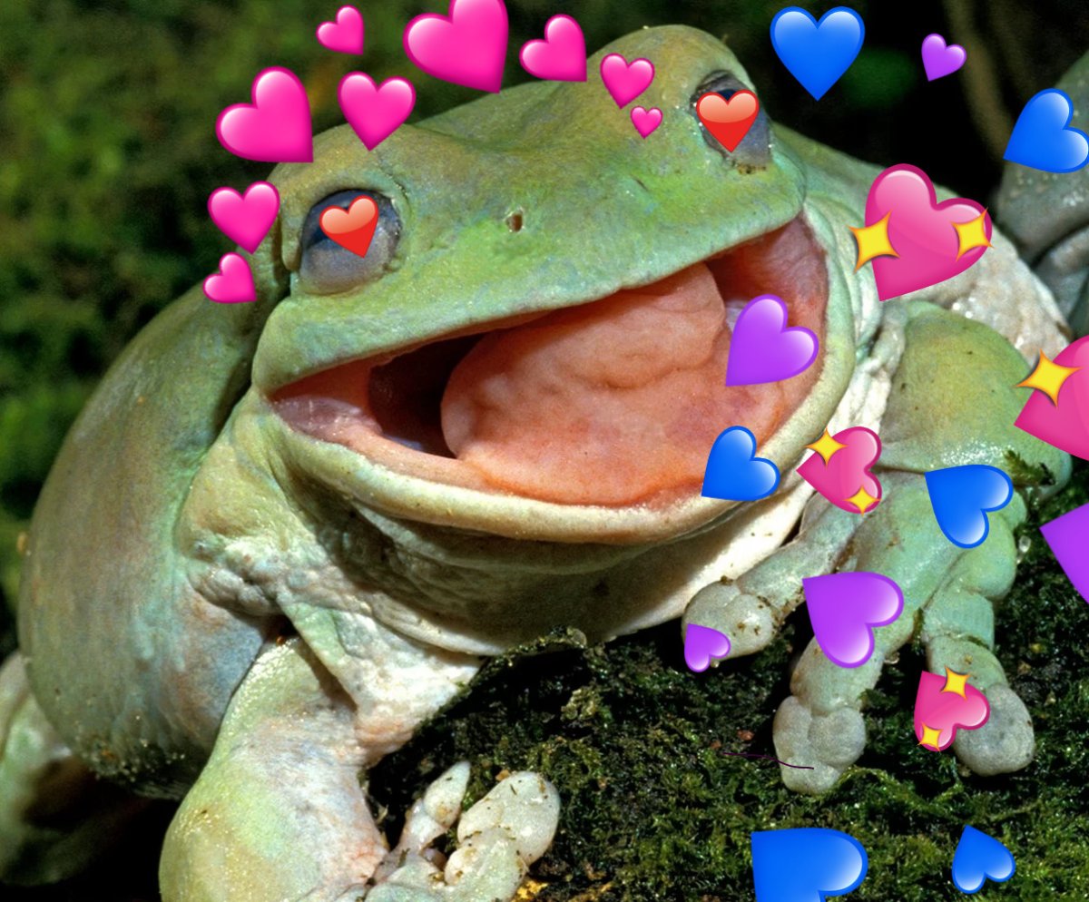 Жаба на зеленом фоне