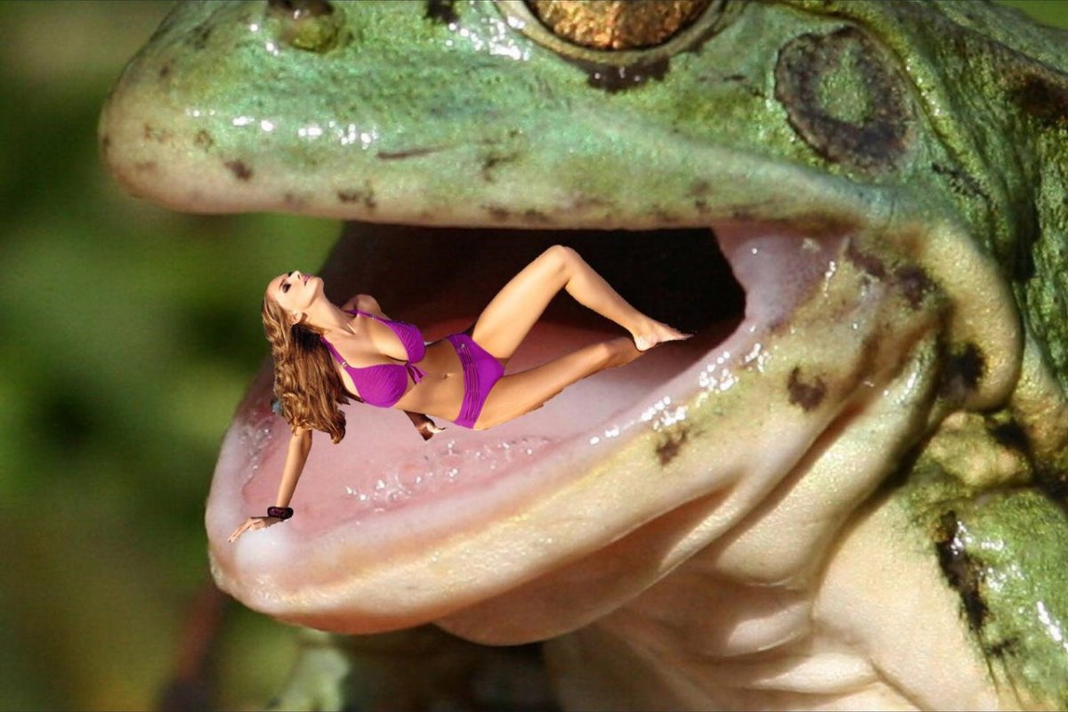 Постер виды лягушек