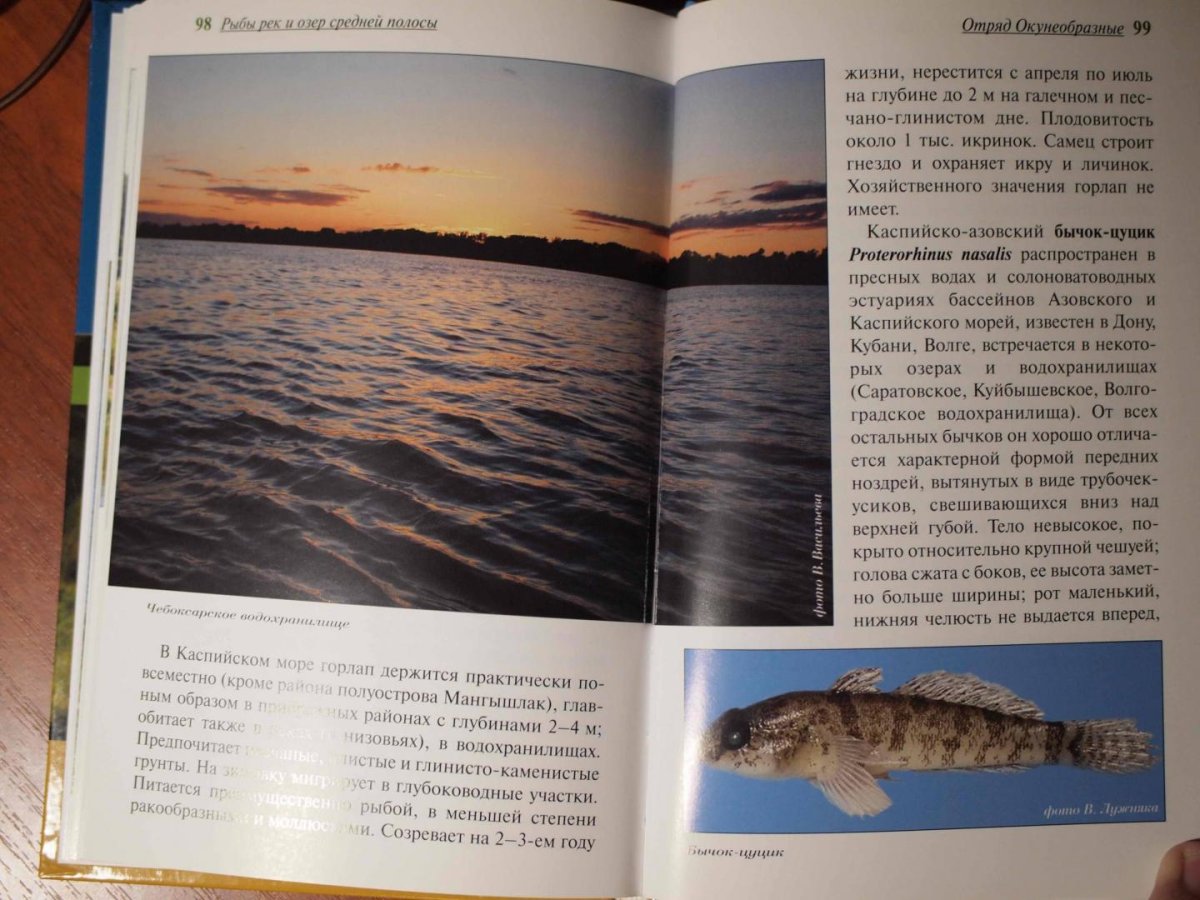 Рыбы рек и озер книга