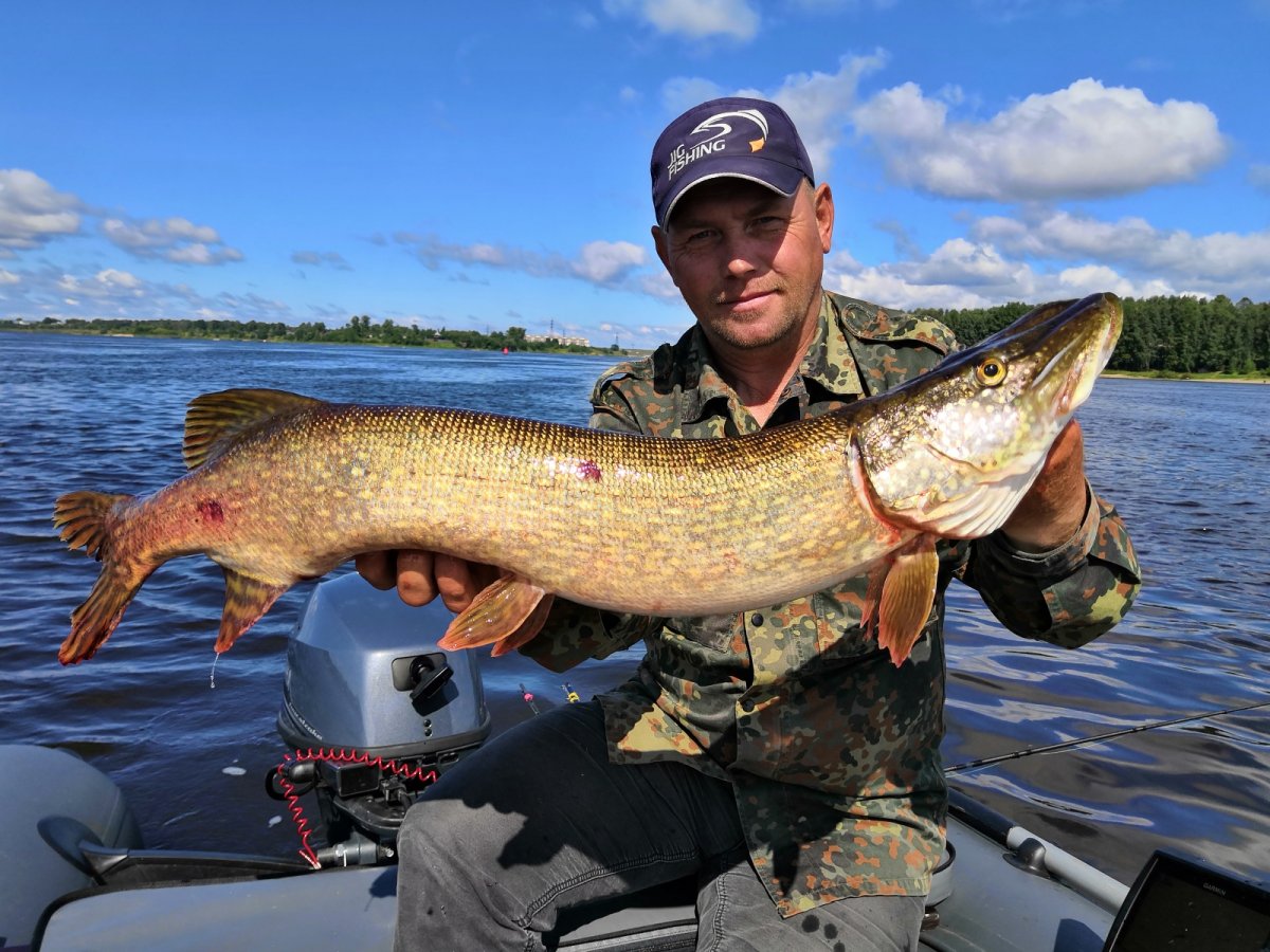 Река Волга рыбалка