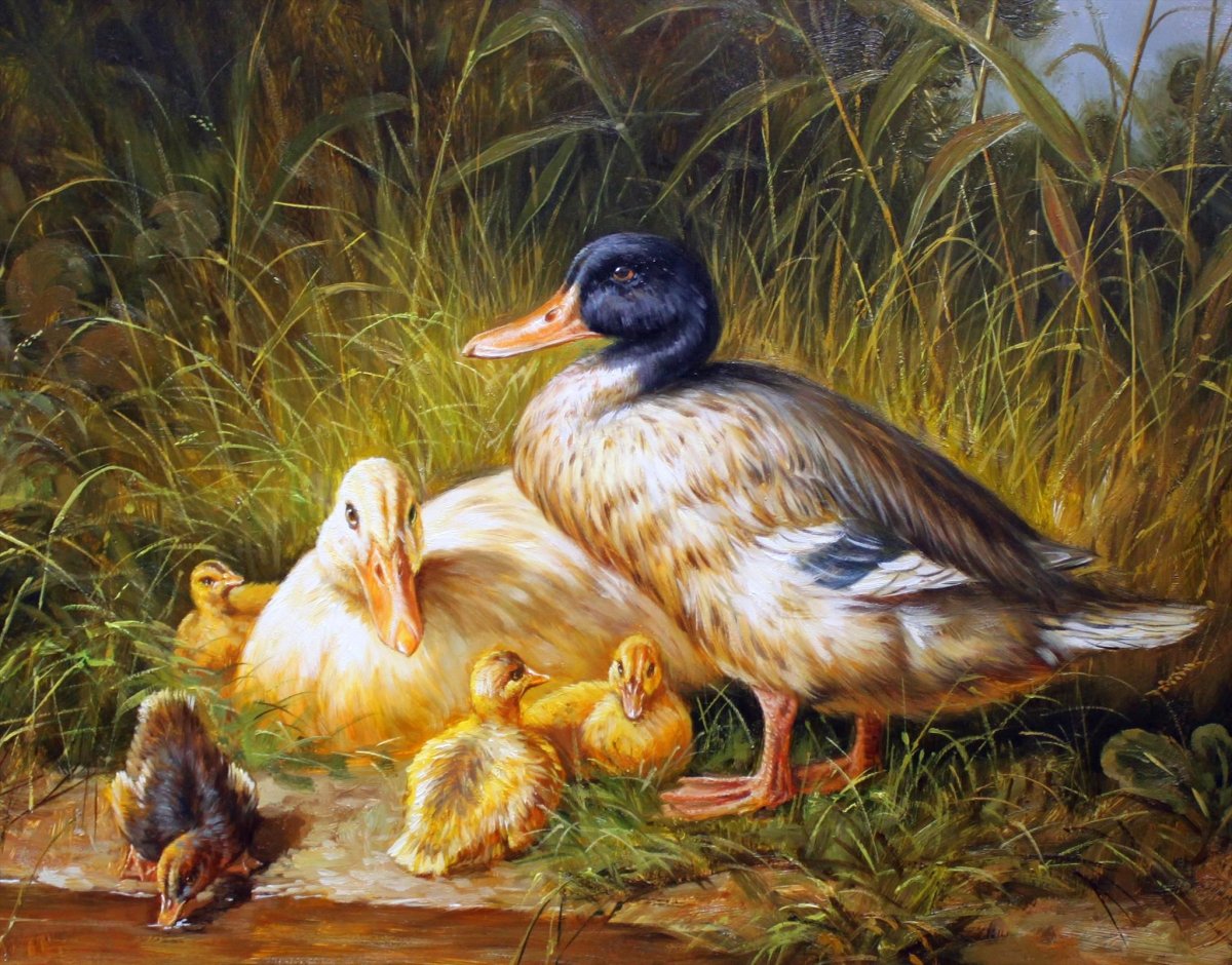 Птичий двор утки