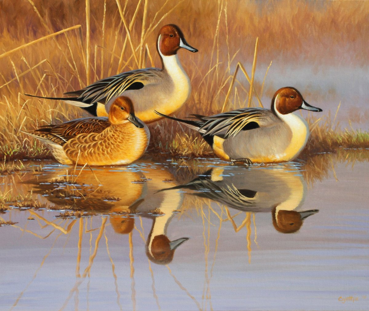 Картины с дикими утками