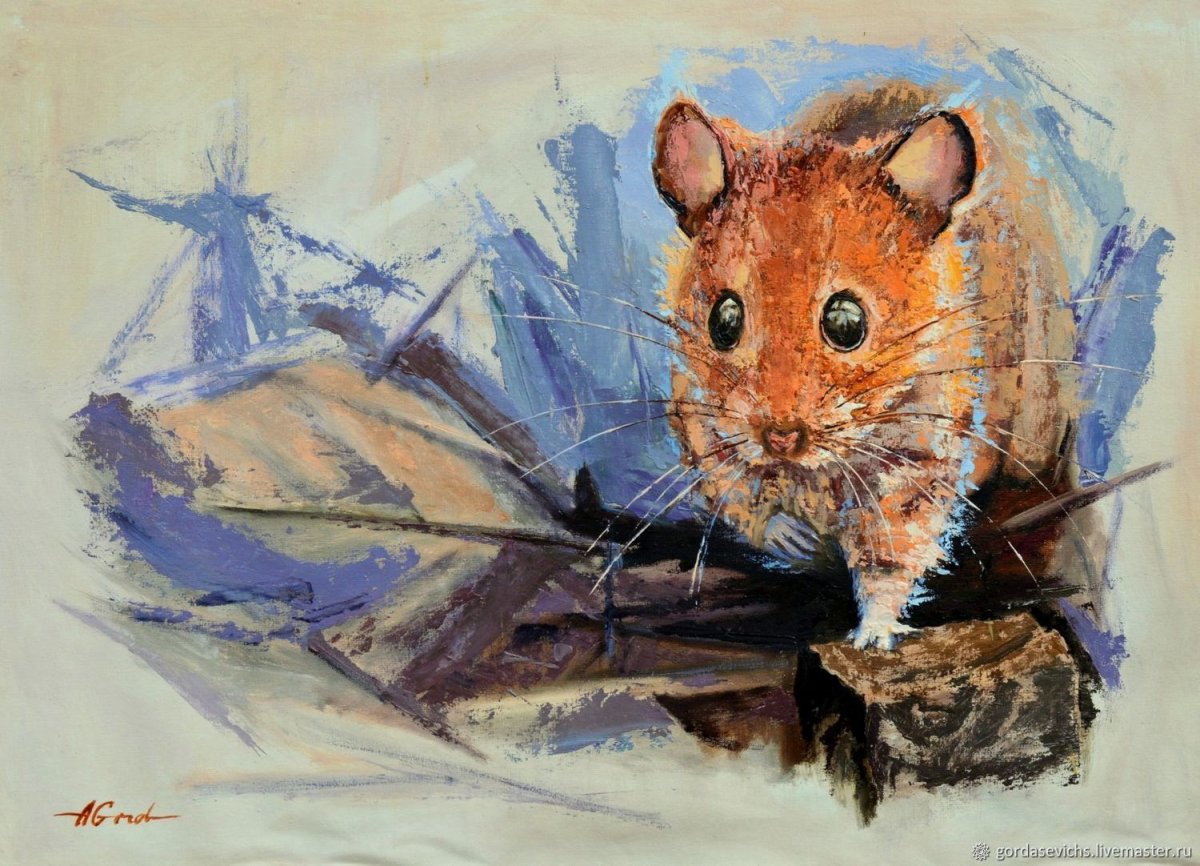 Крыски Дамбо рыжие