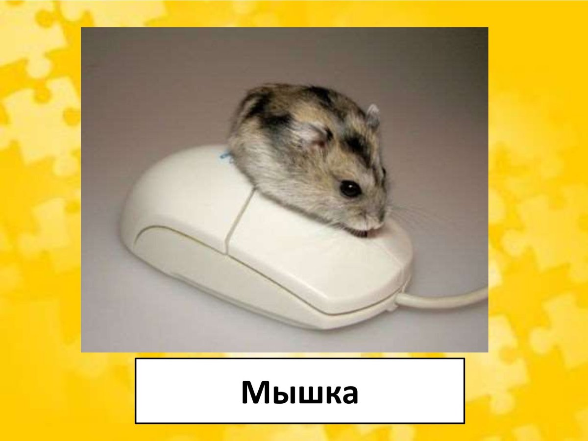 Сказочные зверюшки