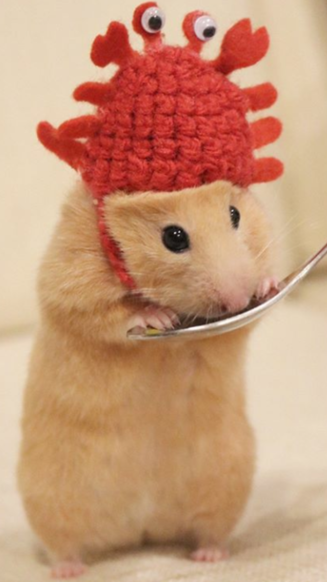 Коричневая мышь