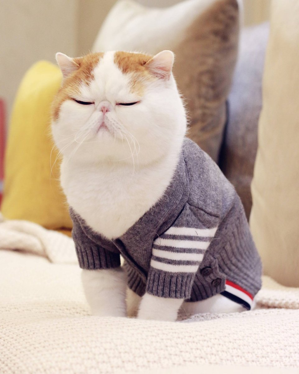 Экзот Снупи