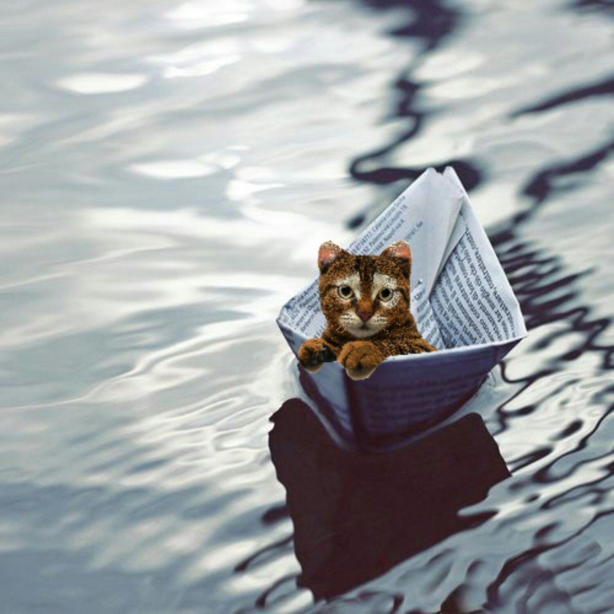 Я обязательно выживу Мем