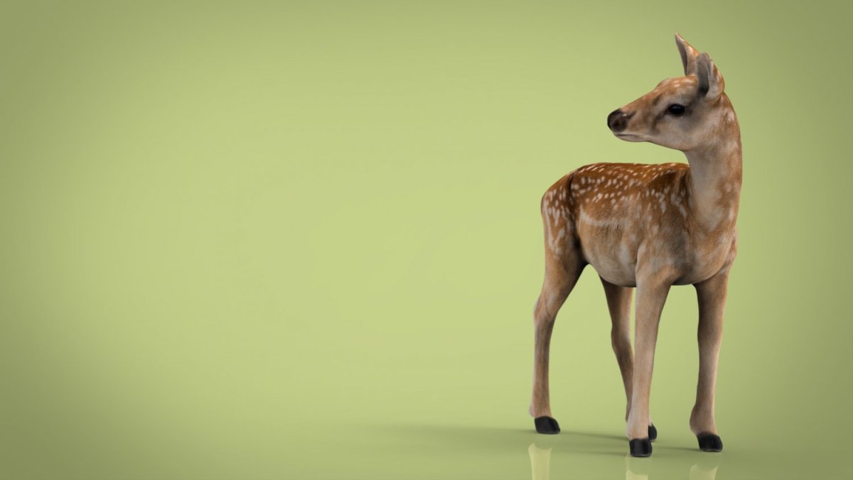 Глаза оленя