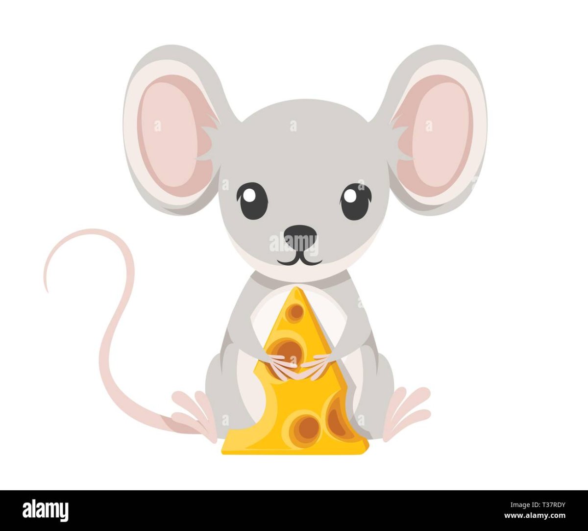 Мышь на белом фоне выглядывает