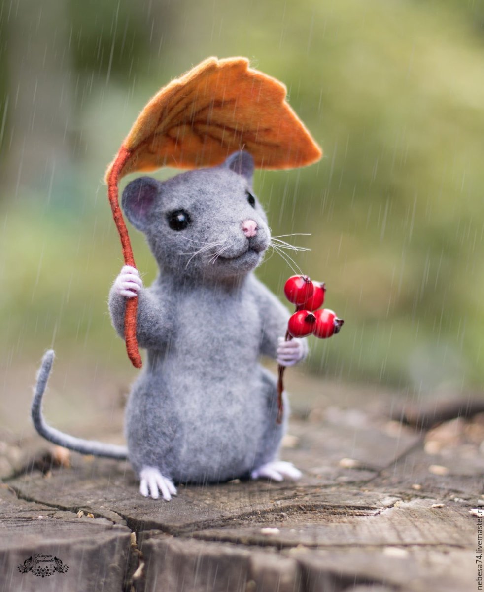 Домовая мышь на руке