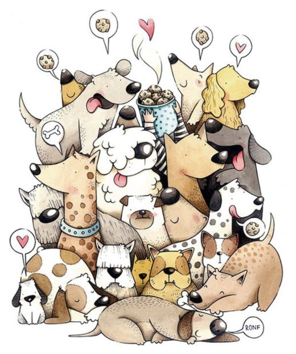 Собака в подарок