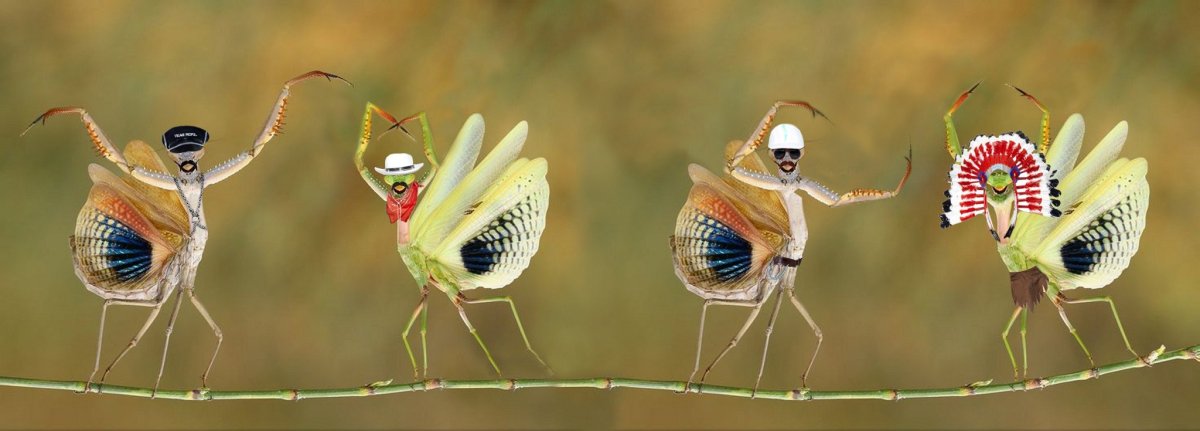 Танец Богомолов