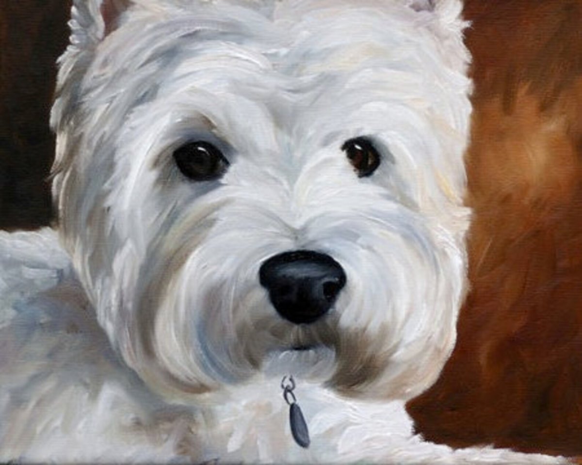 Лохматая собака вектор