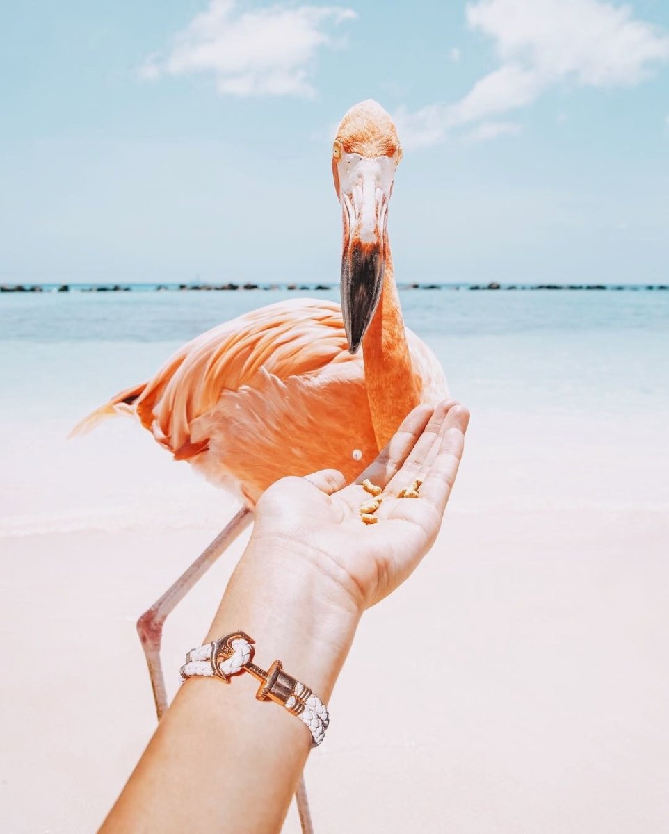 Доминикана для инстаграма