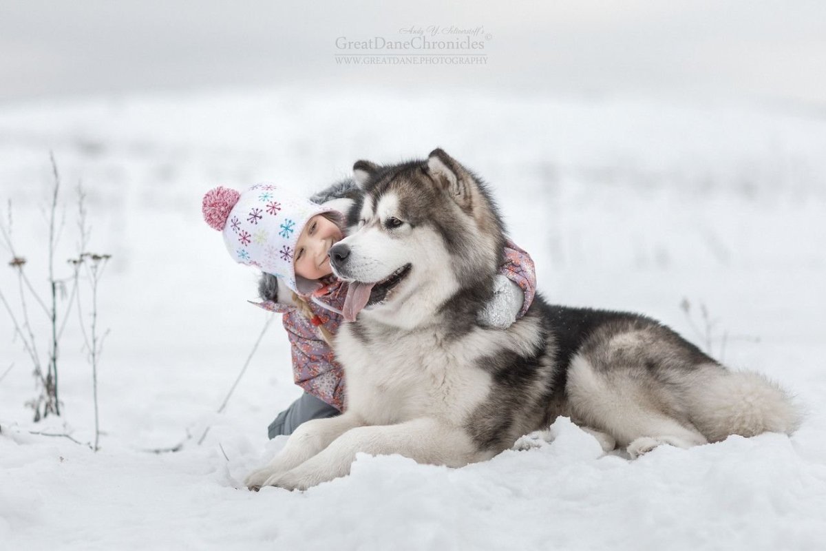 Разводчик собак