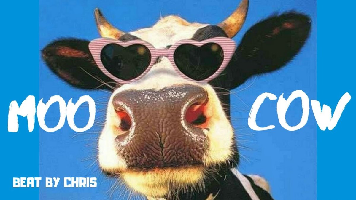 Коровка в очках