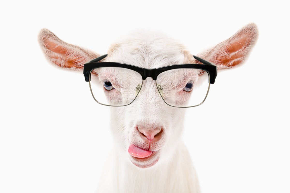 Коза в очках