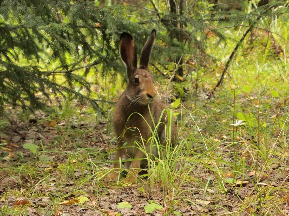 Василий парильщик 25 апреля