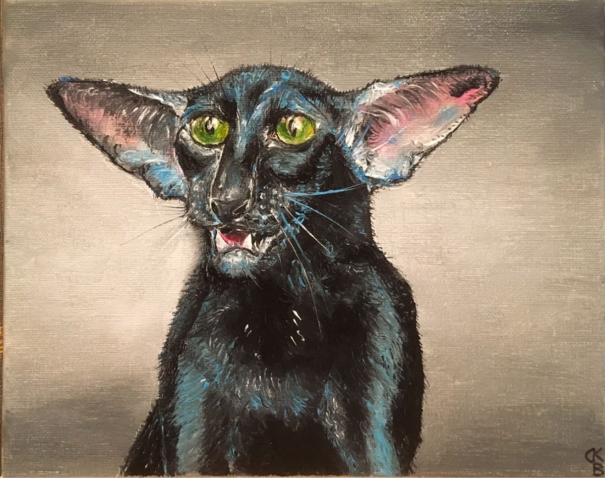 Тайский ориентальный кот