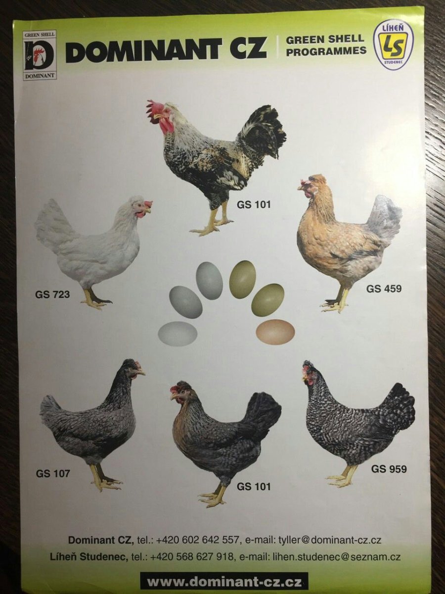 Доминант BLS,ds109,gs459