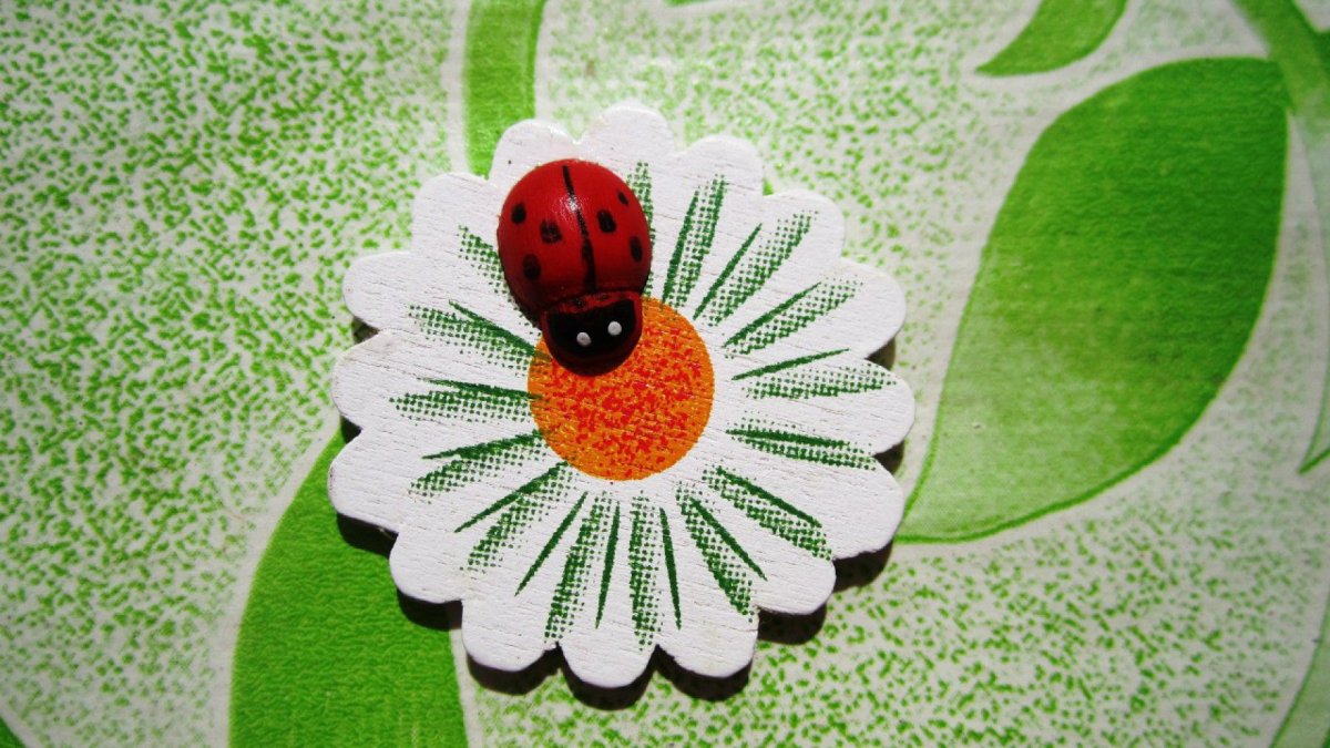 Рисование для детей Божья коровка на ромашке