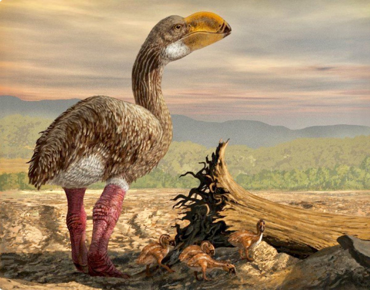 Титанис Гасторнис