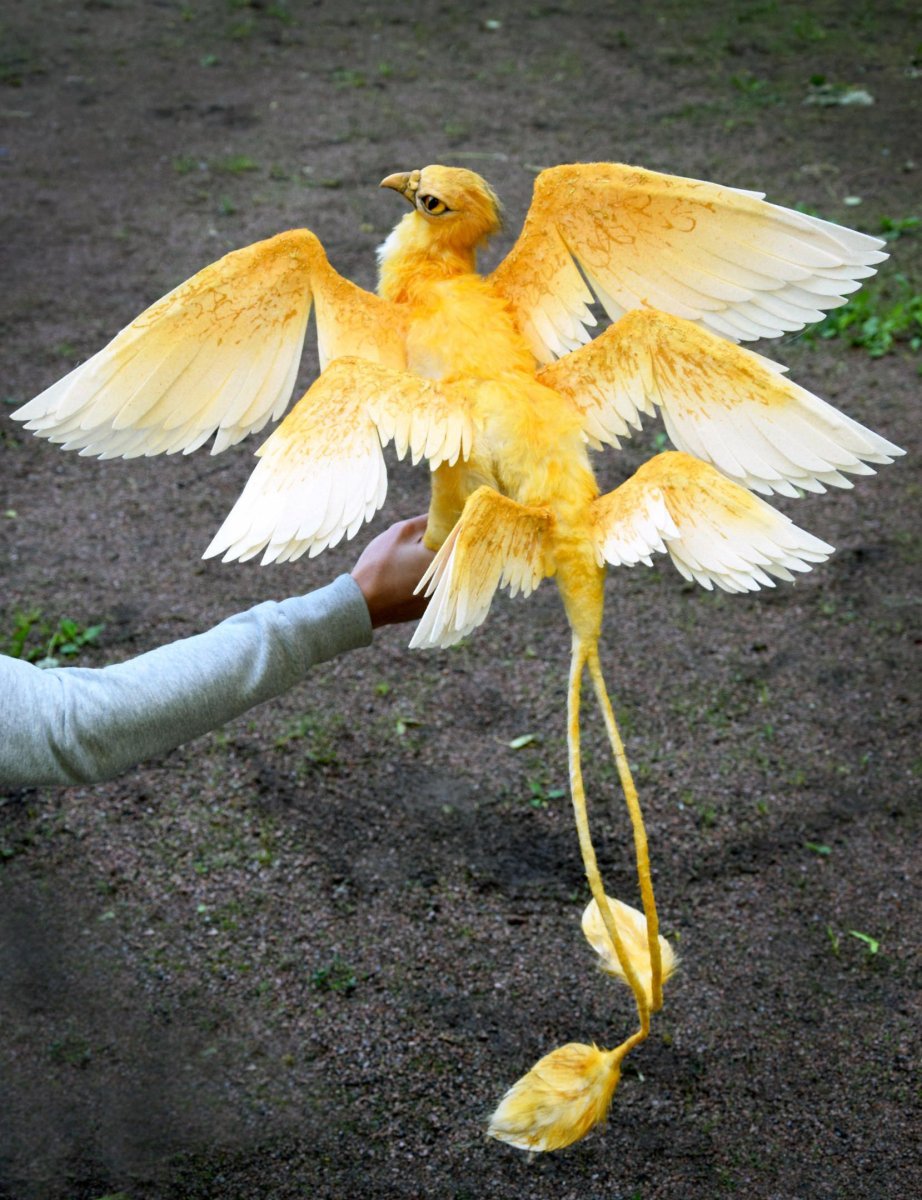 Громовые птицы