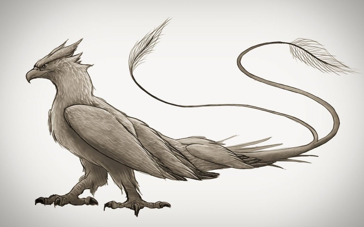 Тандерберд Гарри Поттер