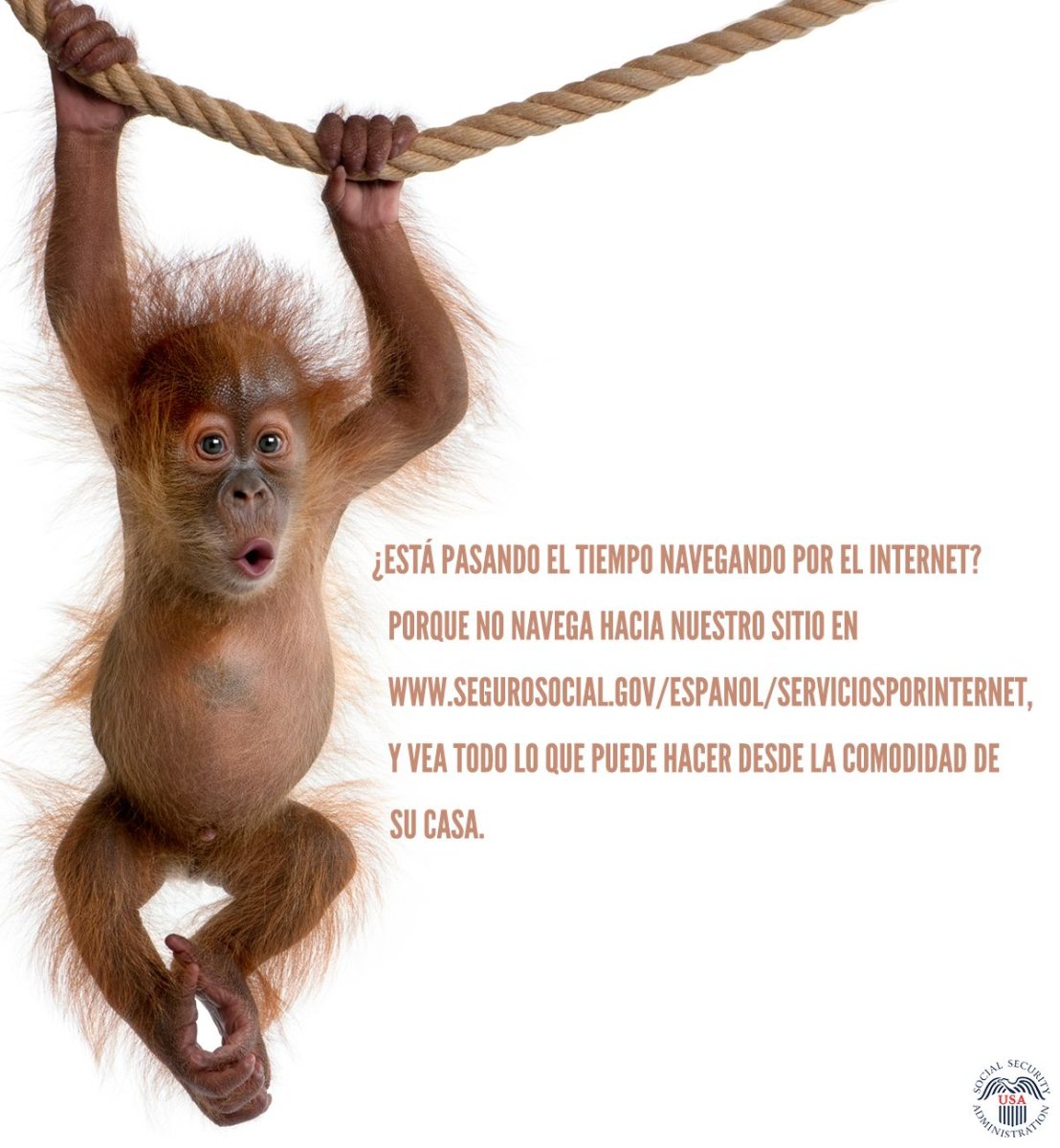 Обезьяна на качелях