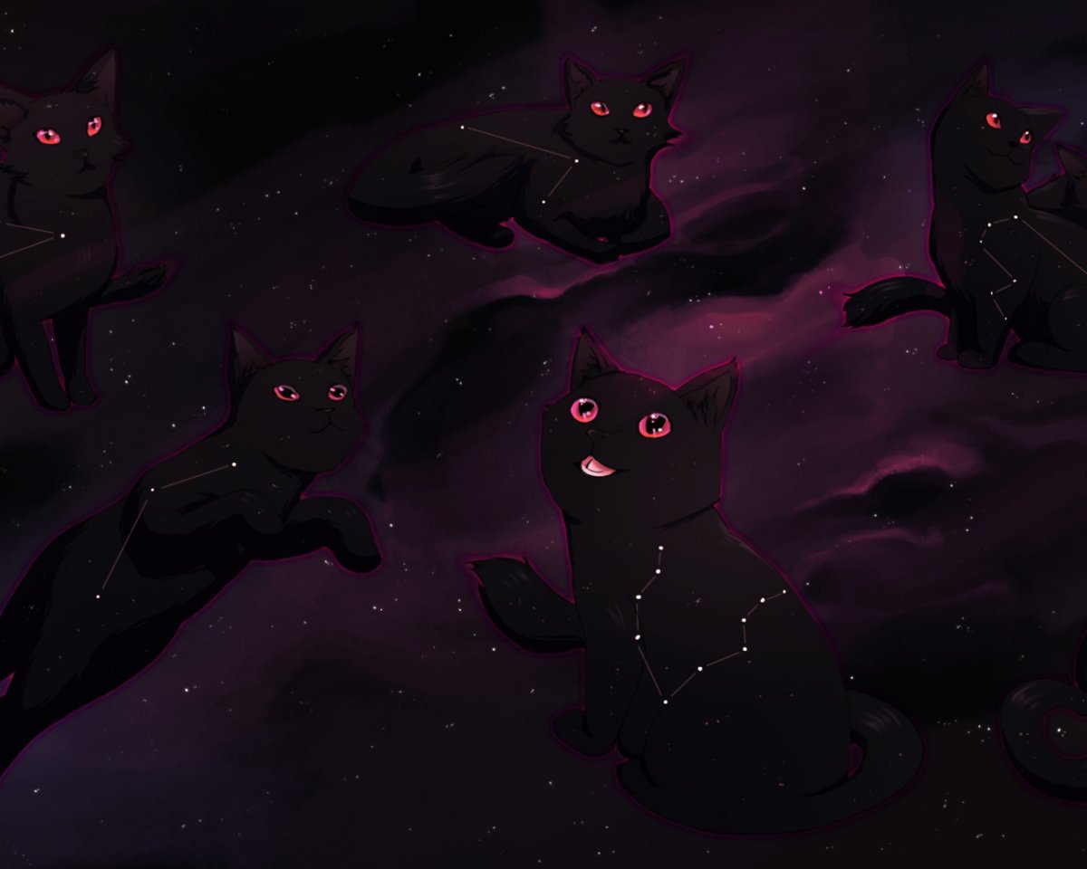 Чёрный кот арт