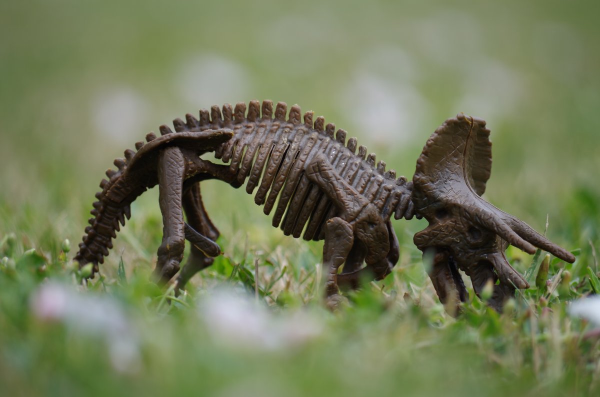 Чешуйчатые динозавры