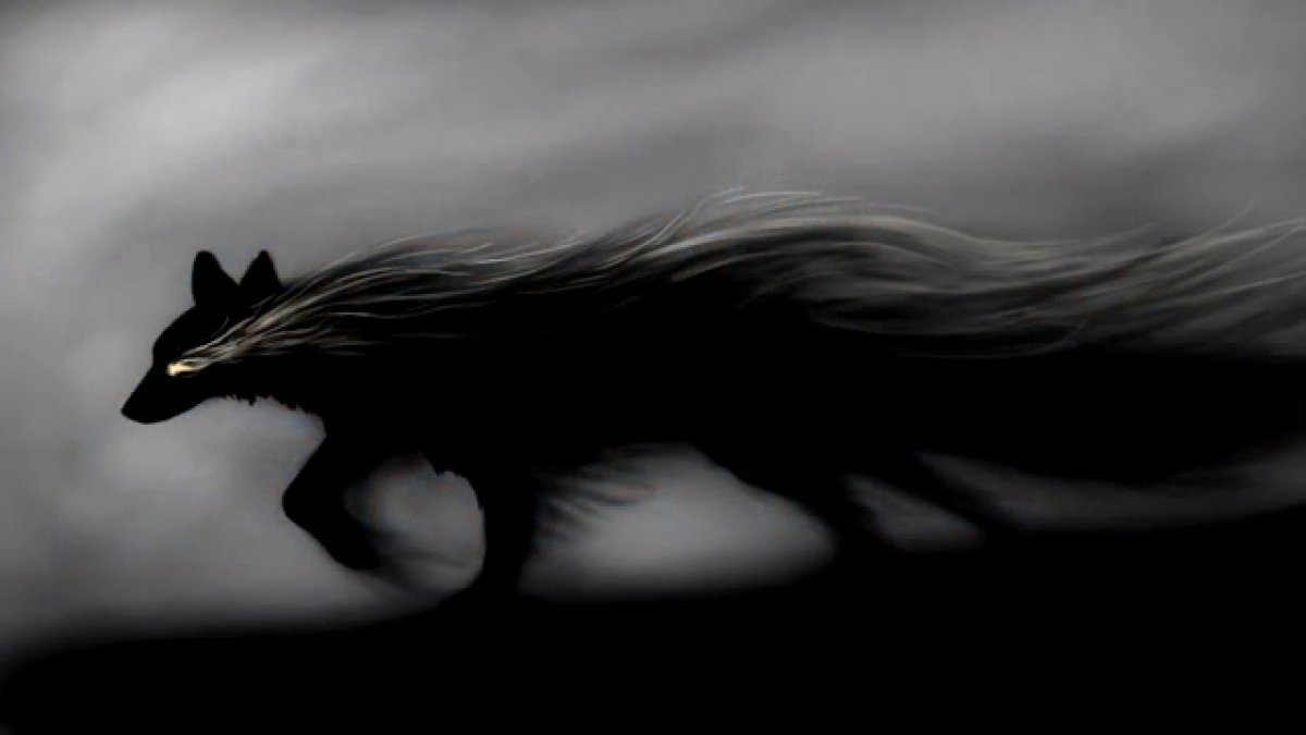 Минимализм животные