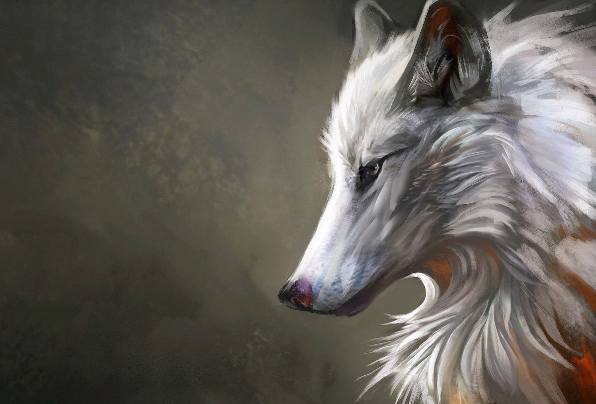 Меланистическая лисица