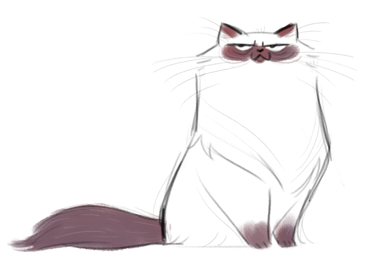 Скетчи мультяшных котов