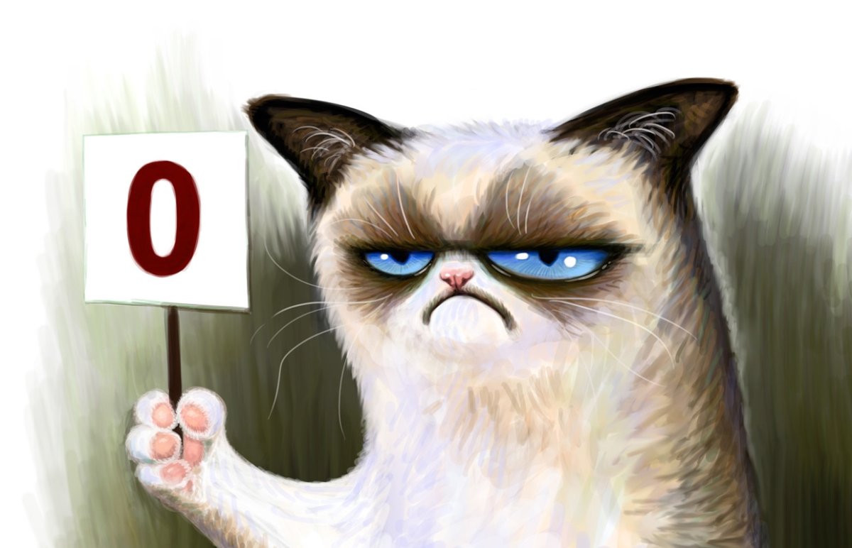 Кот с табличкой