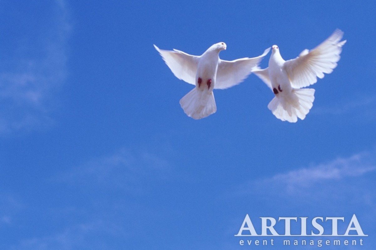 Белые голуби в небе