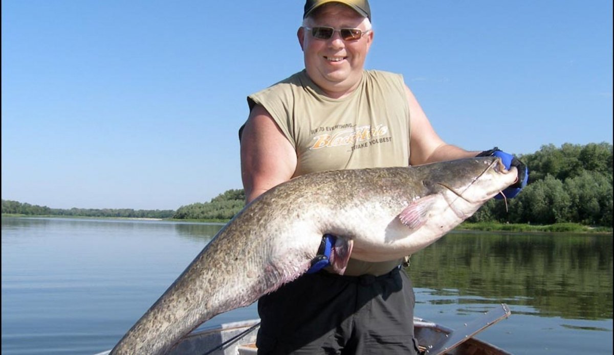 Рыболовная база рыба зверь