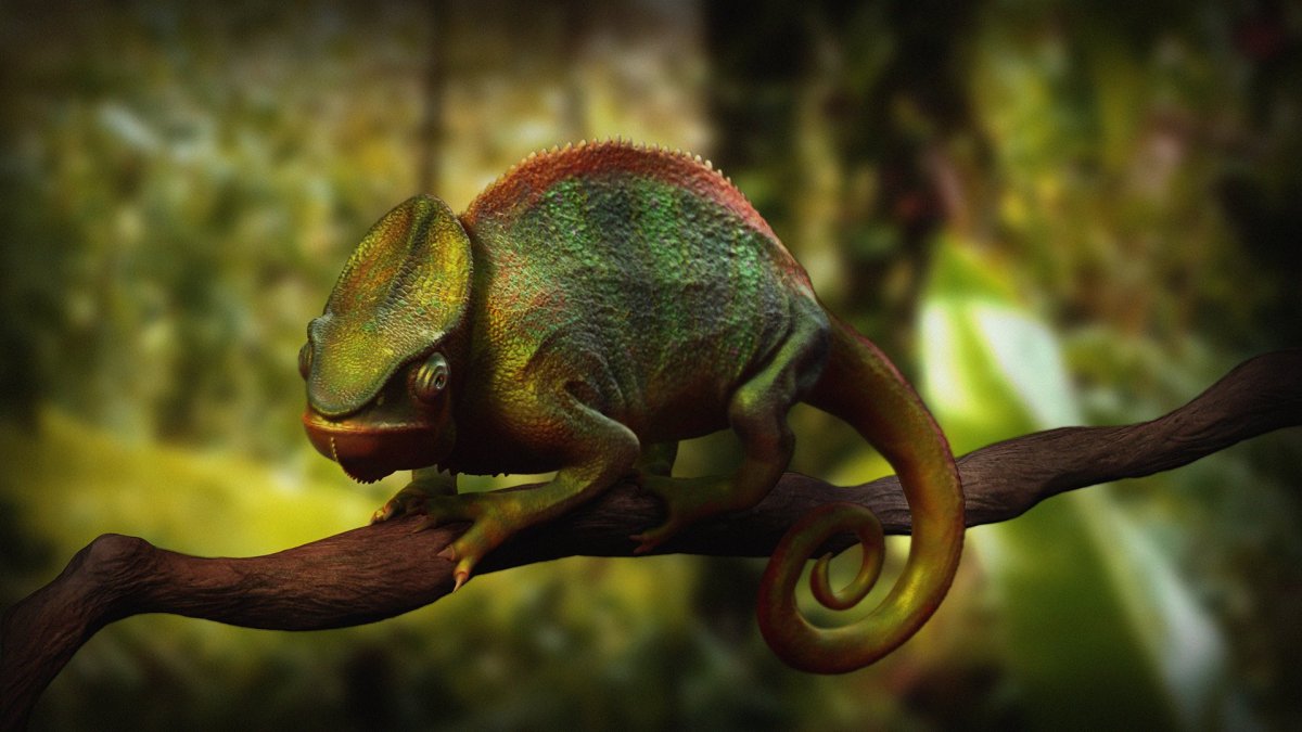 Хамелеон в джунглях