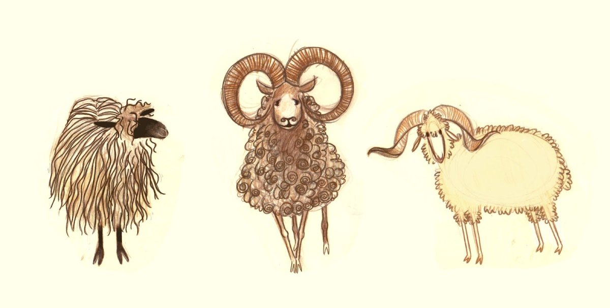 Дербер баран