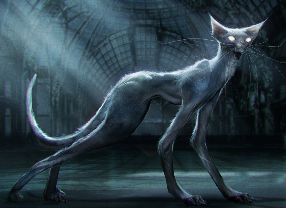 Матагот Гарри Поттер