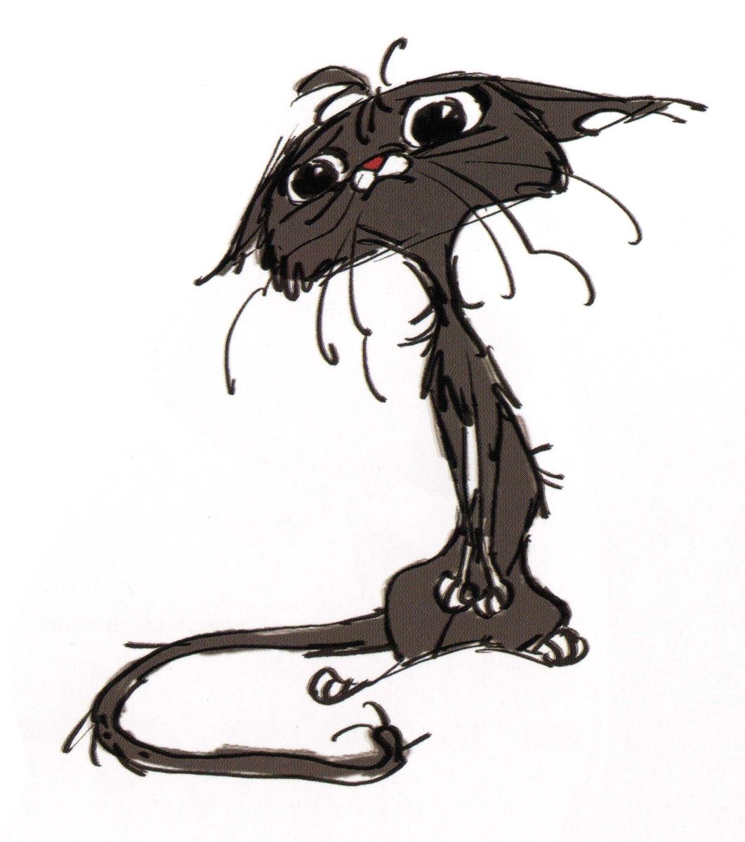 Худощавый кот